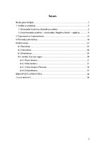 Referāts 'Medicīniskā parazitoloģija. Helmintozes', 2.