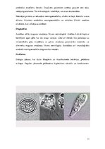 Referāts 'Medicīniskā parazitoloģija. Helmintozes', 11.