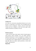 Referāts 'Medicīniskā parazitoloģija. Helmintozes', 14.
