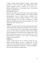 Referāts 'Medicīniskā parazitoloģija. Helmintozes', 17.