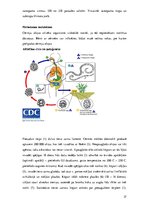 Referāts 'Medicīniskā parazitoloģija. Helmintozes', 27.