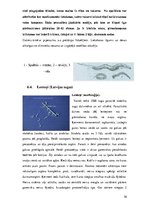 Referāts 'Medicīniskā parazitoloģija. Helmintozes', 30.