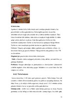 Referāts 'Medicīniskā parazitoloģija. Helmintozes', 33.