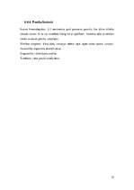 Referāts 'Medicīniskā parazitoloģija. Helmintozes', 35.