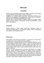 Referāts '"Dzintars" - mārektinga pētījums', 2.