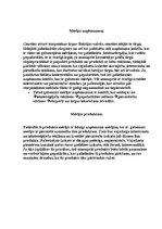 Referāts '"Dzintars" - mārektinga pētījums', 9.