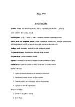 Referāts 'Anoreksija un bulīmija - jauniešu problēma Latvijā', 1.