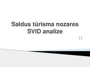 Referāts 'Saldus tūrisma nozares SVID analīze', 5.
