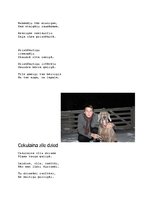 Eseja 'Tautasdziesmu izlase "Skaistais"', 7.