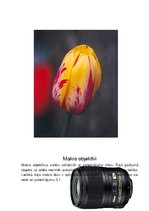 Prezentācija 'Fotoaparāti un to uzbūve', 17.