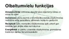 Prezentācija 'Prezentācija par olbaltumvielām', 9.