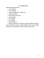 Biznesa plāns 'Kafejnīcas "Zaķis" tehnoloģiskais projekts', 10.