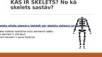 Prezentācija 'Kas ir skelets?', 1.