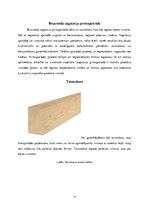 Konspekts 'Sagatavju pirmapstrāde. Pirmā daļa', 4.