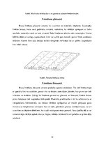 Konspekts 'Sagatavju pirmapstrāde. Pirmā daļa', 14.