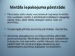 Prezentācija 'Metāla iepakojums', 17.