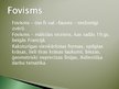 Prezentācija 'Fovisms', 3.