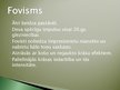 Prezentācija 'Fovisms', 4.