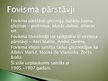 Prezentācija 'Fovisms', 5.