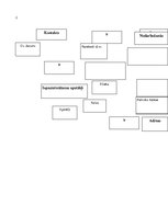Paraugs 'Datubāzes entītiju relāciju modelis', 2.