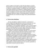 Referāts 'Pusvadītāju izgatavošanas process ', 3.