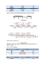 Paraugs 'Dzelzsbetona plātnes darbīgā un faktiskā biezuma noteikšana', 4.