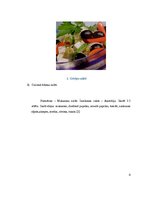 Referāts 'Salāti, to dažādība', 8.