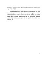 Referāts 'Salāti, to dažādība', 12.