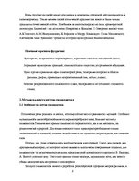 Referāts 'Музыкальность поэзии серебряного века', 9.