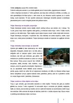 Referāts 'Telpas analīze priekšmetā "Arhitektūras kompozīcija"', 4.