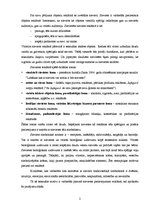 Konspekts 'Sievietes kā objekta izpēte un pielietojums reklāmās', 2.