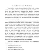 Eseja 'Situācija darba aizsardzībā sekretāres birojā', 1.