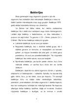 Referāts 'Baktērijas', 3.