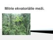 Prezentācija 'Mitrie ekvatoriālie meži', 1.