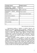 Referāts 'Autotransporta pārvadājumu maršrutu plānošana un to nepieciešamība', 9.