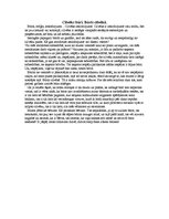 Eseja 'Cilvēks būrī. Būris cilvēkā', 1.