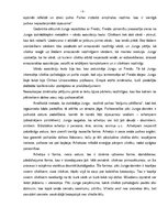 Referāts 'K.G.Junga priekšstati par psihi un psihiskām parādībām', 3.