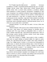 Referāts 'K.G.Junga priekšstati par psihi un psihiskām parādībām', 4.