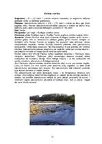 Prezentācija 'Tūrisma maršruts pa Latviju', 14.