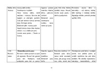 Prakses atskaite 'Pirmsskolas izglītības prakse', 11.