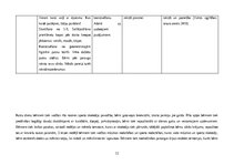 Prakses atskaite 'Pirmsskolas izglītības prakse', 12.