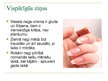 Prezentācija 'Roku nagi', 3.