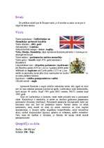 Referāts 'Lielbritānija', 1.