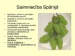 Prezentācija 'Spānija', 7.