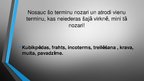 Prezentācija 'Termini un profesionālismi', 8.