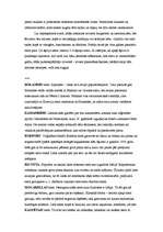 Referāts 'Siers', 5.