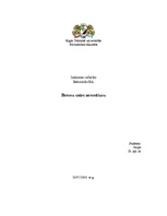 Referāts 'Betona grīdu betonēšana', 1.