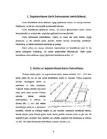 Referāts 'Betona grīdu betonēšana', 4.