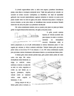 Referāts 'Betona grīdu betonēšana', 5.