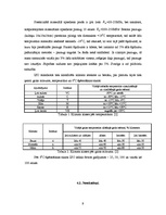 Referāts 'Betona grīdu betonēšana', 9.